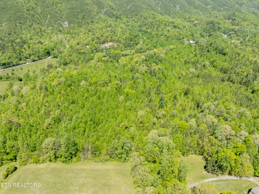 604 E Millers Cove Rd, Walland, TN 37886 - #2