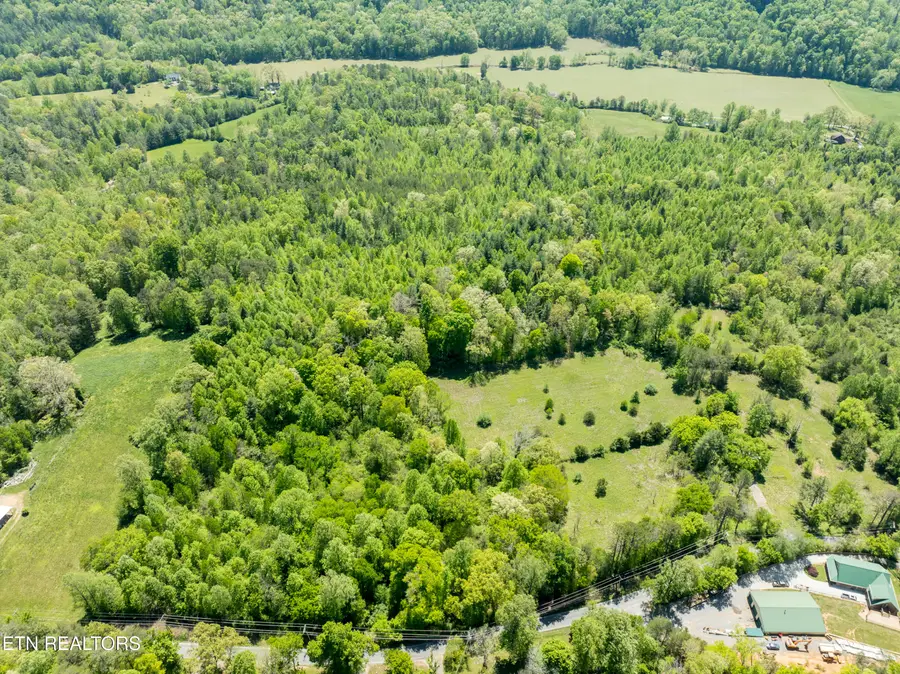 604 E Millers Cove Rd, Walland, TN 37886 - #3
