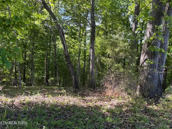 Flagstone Loop, New Tazewell, TN 37825