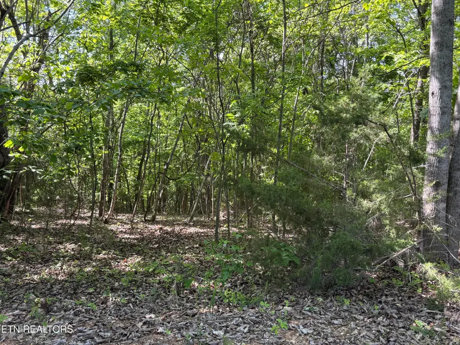 Flagstone Loop, New Tazewell, TN 37825 - #2
