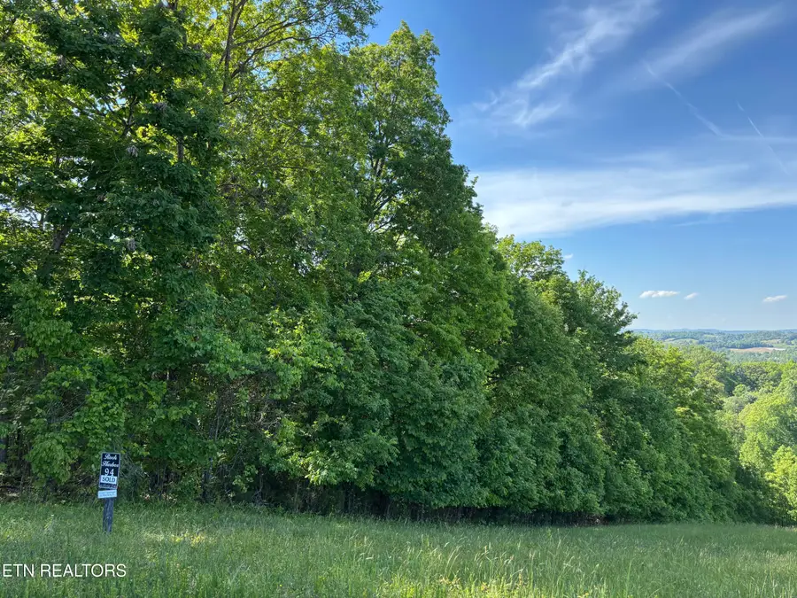Flagstone Loop, New Tazewell, TN 37825 - #3