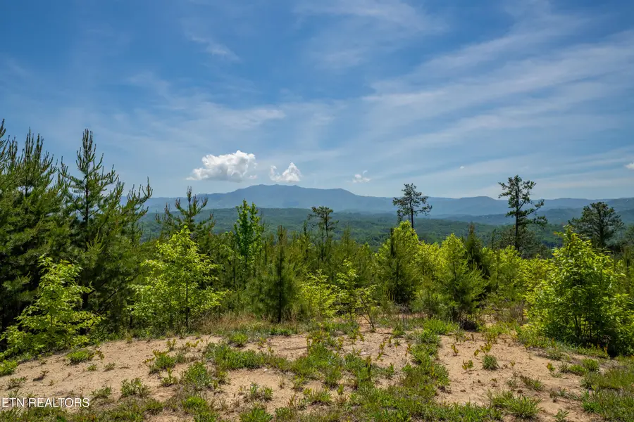 1981 Fox View Lane, Sevierville, TN 37876 - #3