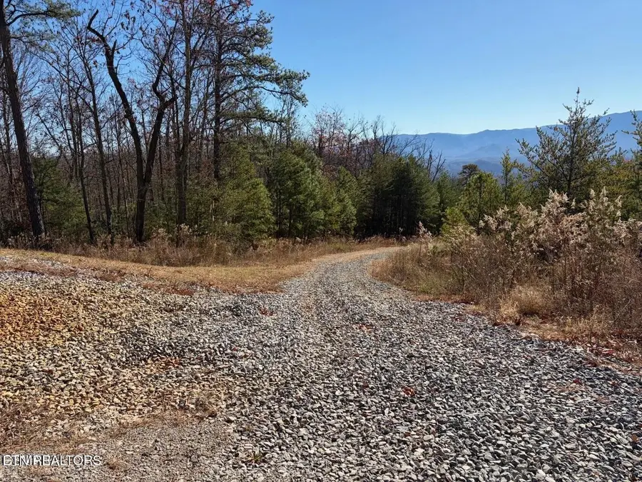 Tract B Mountain Ash Way, Sevierville, TN 37876 - #2