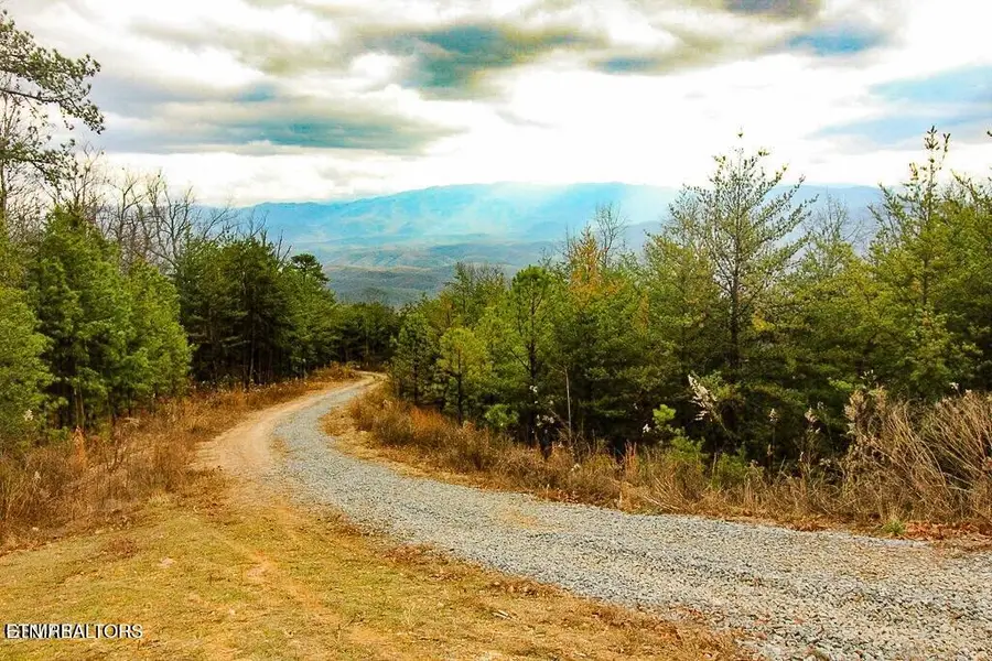 Tract B Mountain Ash Way, Sevierville, TN 37876 - #3