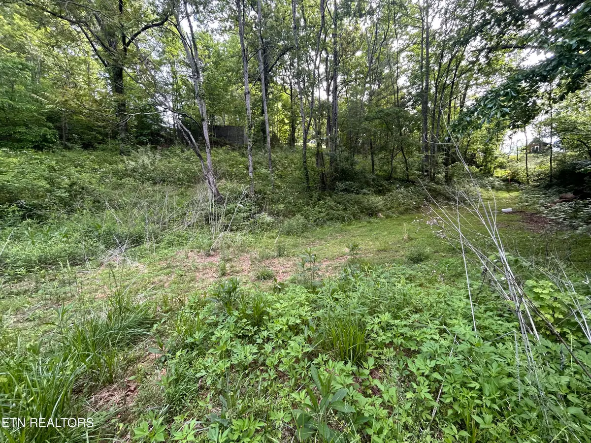 Lot 32 Ernie Roberts Rd, Rutledge, TN 37861 - #1