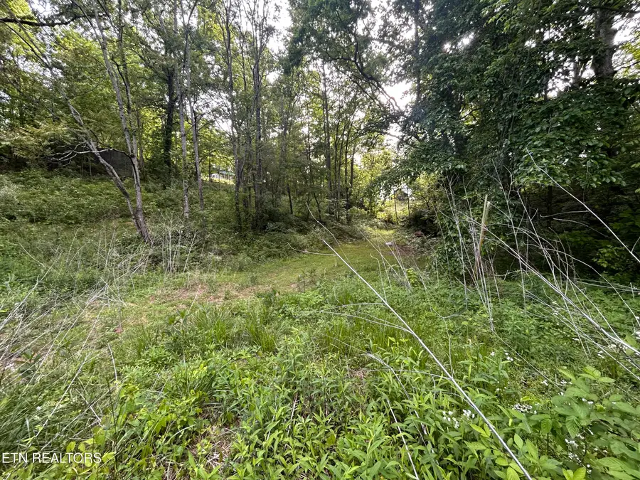 Lot 32 Ernie Roberts Rd, Rutledge, TN 37861 - #2