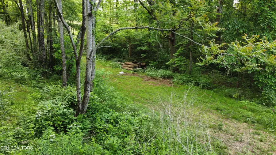 Lot 32 Ernie Roberts Rd, Rutledge, TN 37861 - #3