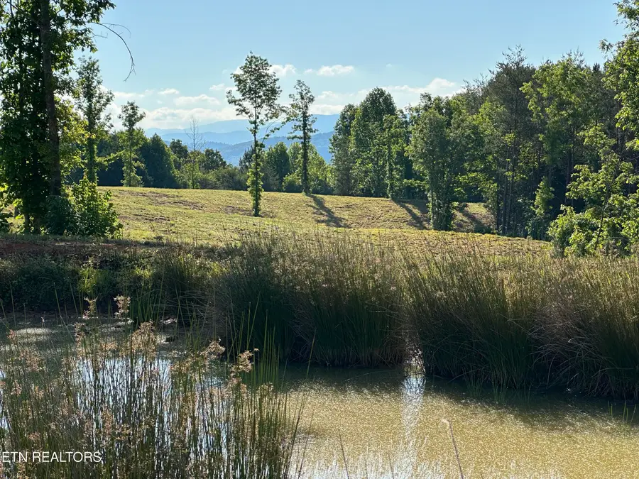 Lot 7 Curtis Rd, Tellico Plains, TN 37385 - #2