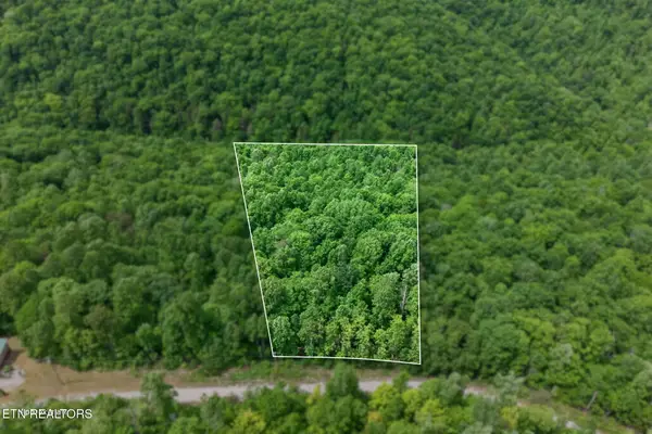 W Bobcat Lane, Wilder, TN 38589