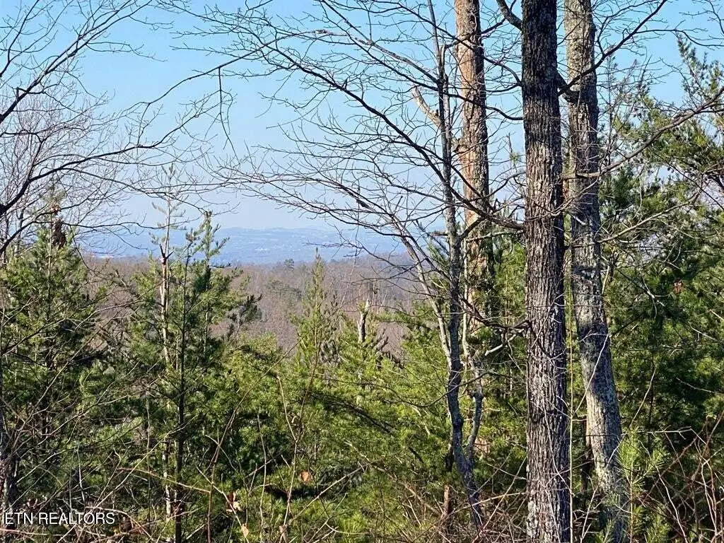 English Springs Way, Newport, TN 37821 - #1