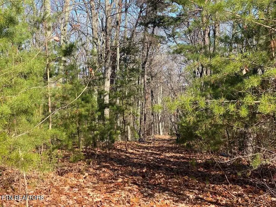 English Springs Way, Newport, TN 37821 - #3