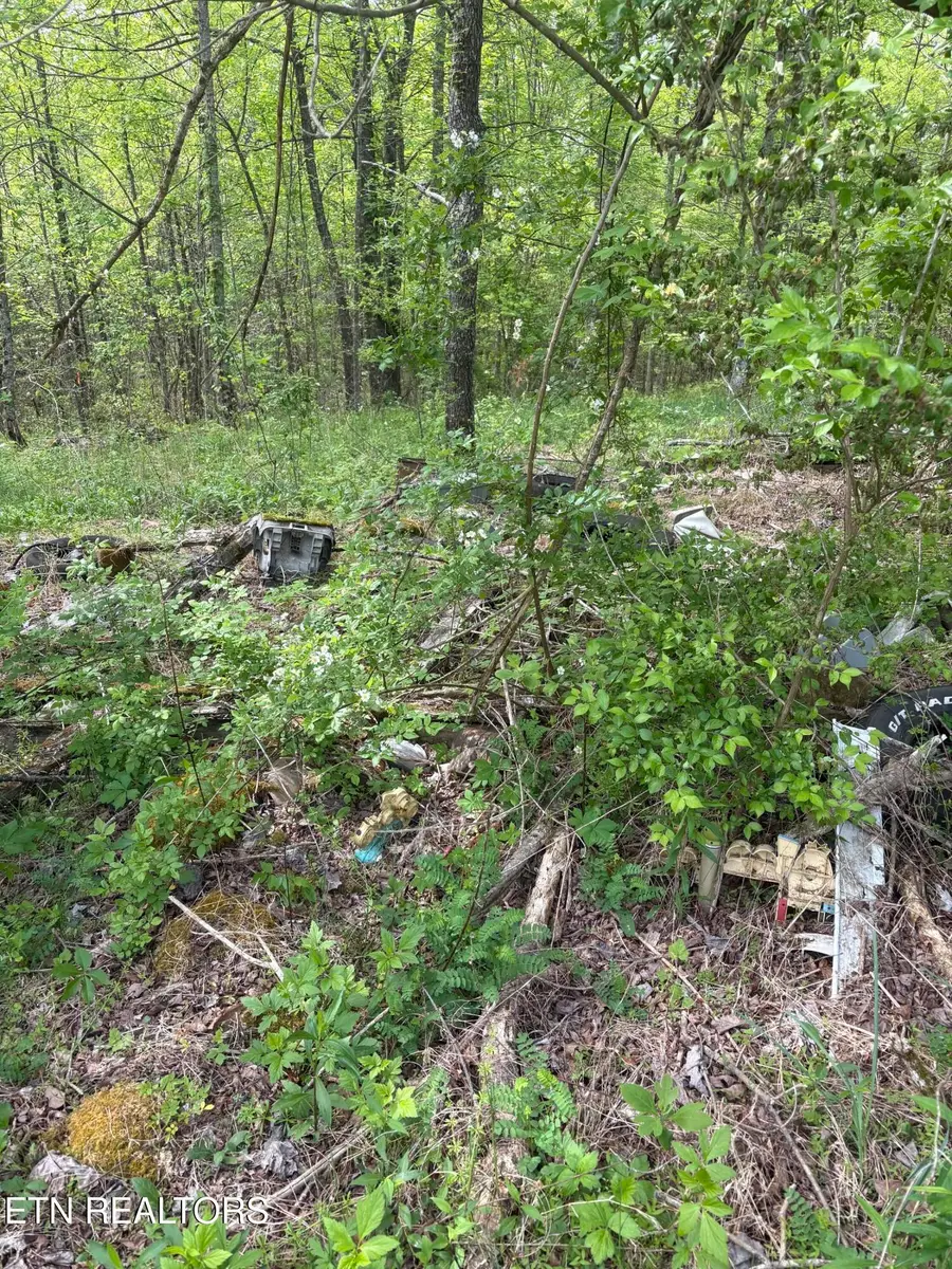 157 Casteel Rd, Sparta, TN 38583 - #3
