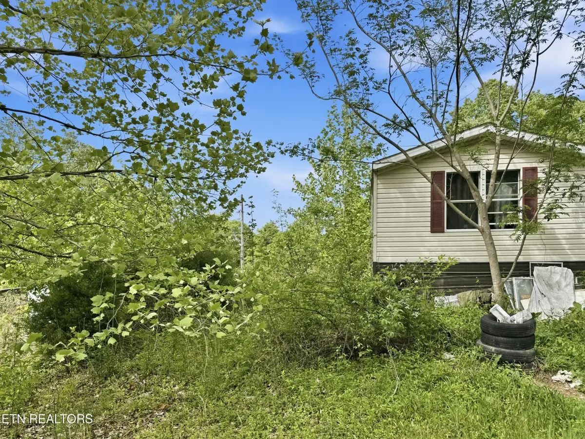 190 County Road 288, Niota, TN 37826 - #1
