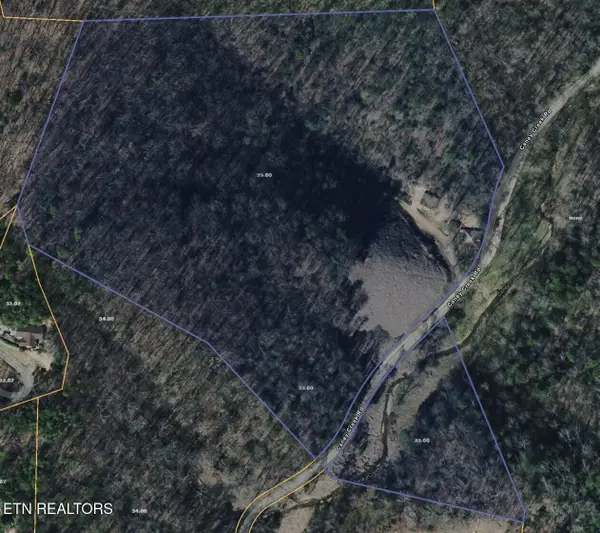 206 Caney Creek Rd, Pigeon Forge, TN 37863