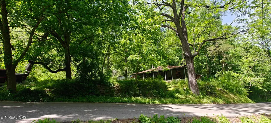 206 Caney Creek Rd, Pigeon Forge, TN 37863 - #2