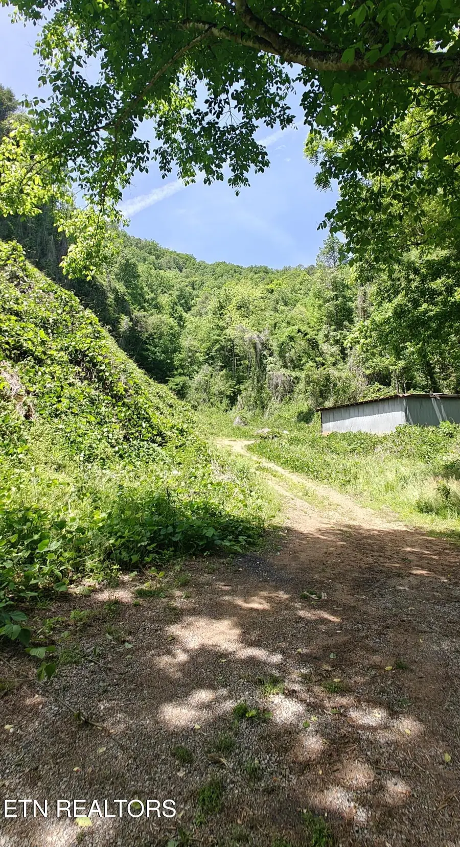 206 Caney Creek Rd, Pigeon Forge, TN 37863 - #3