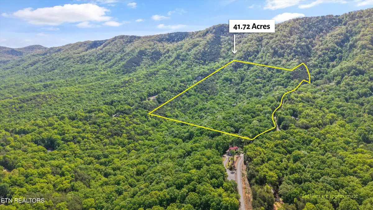 Tract 77 Chilhowee Tr, Maryville, TN 37803 - #1