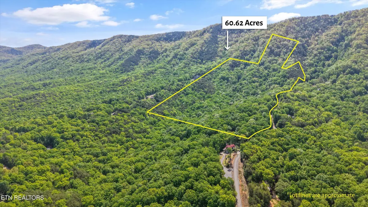 77 & 1-2 Chilhowee Tr, Maryville, TN 37803 - #1