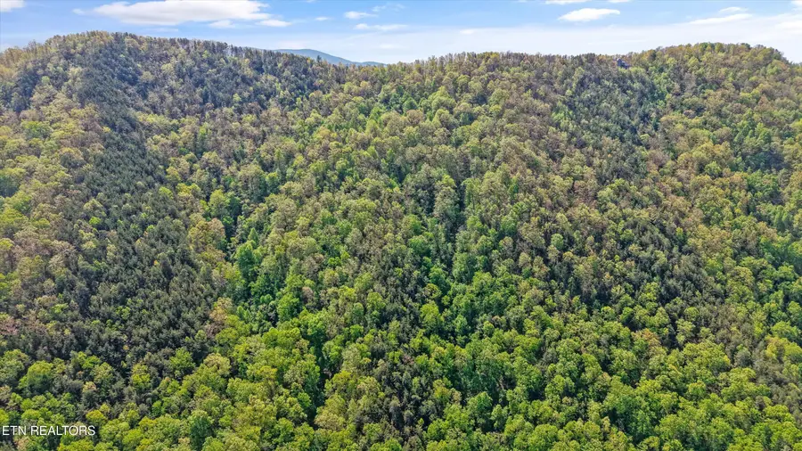 77 & 1-2 Chilhowee Tr, Maryville, TN 37803 - #2