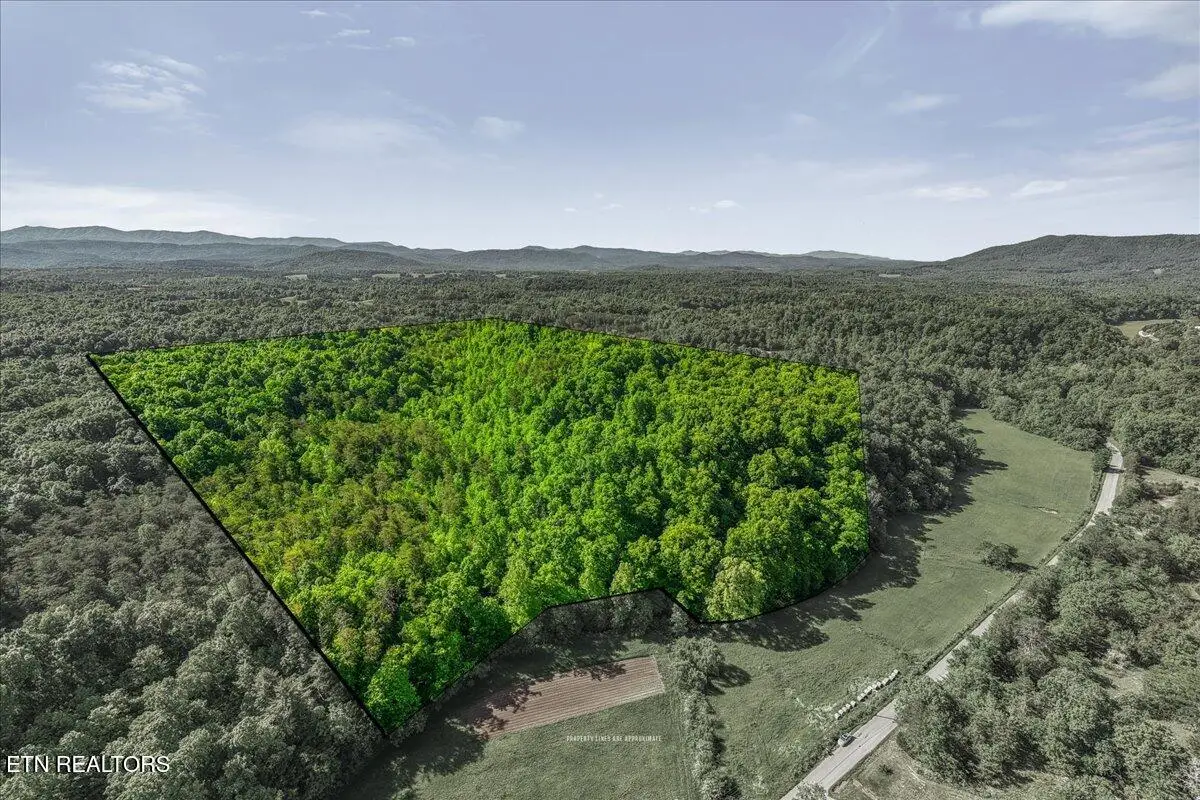 Shadden Road, Tellico Plains, TN 37385 - #1