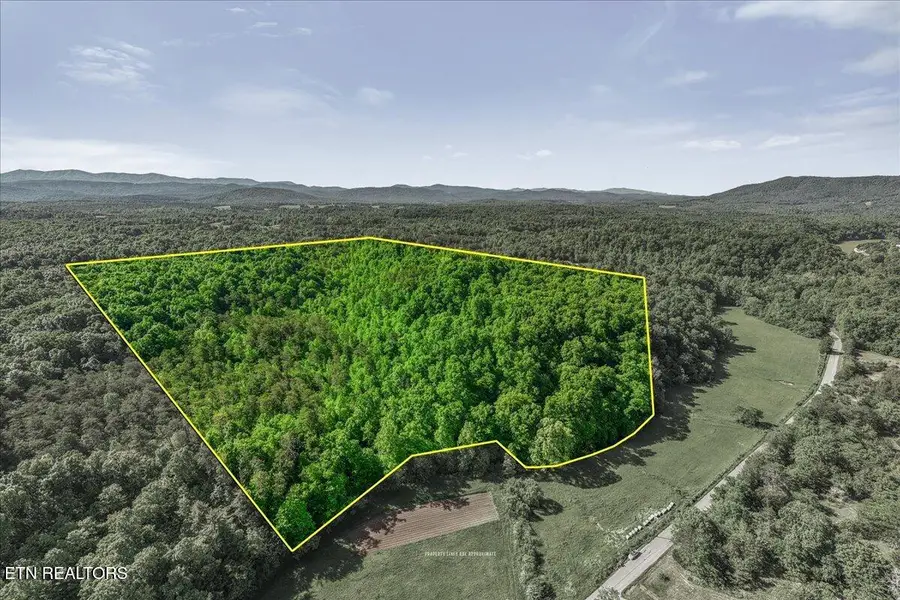 Shadden Road, Tellico Plains, TN 37385 - #2