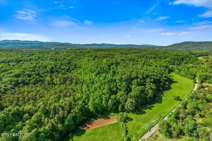 Shadden Road, Tellico Plains, TN 37385 - #3