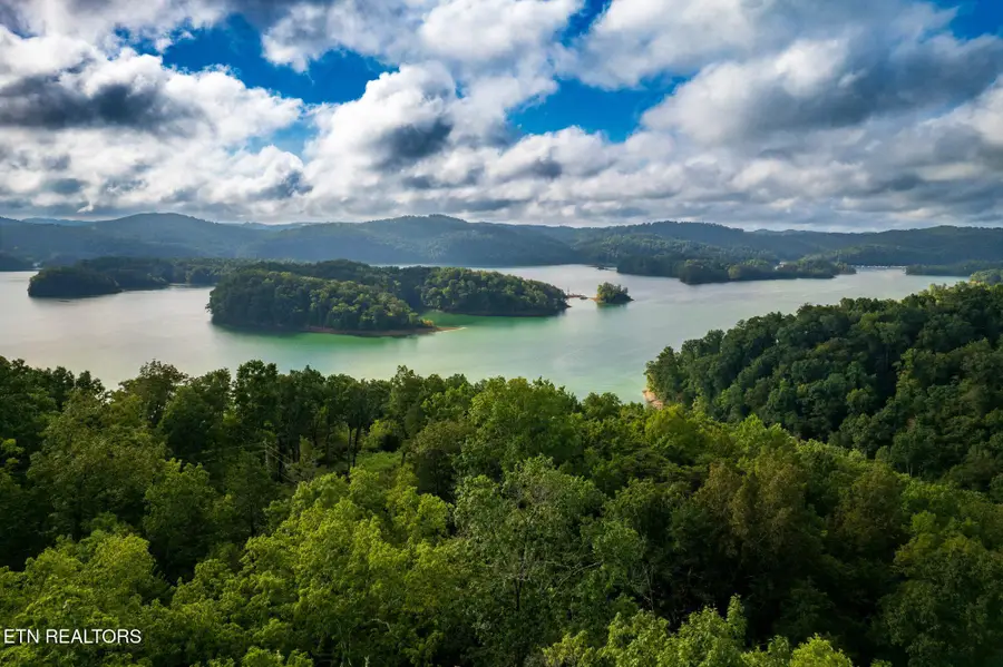 Lakeview Drive, Sharps Chapel, TN 37866 - #2