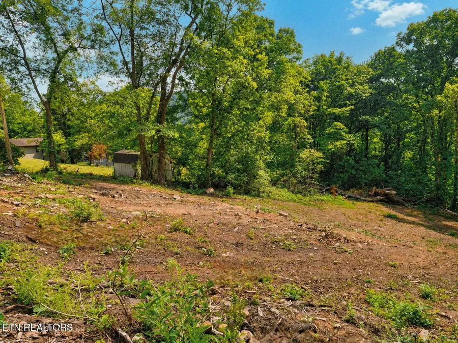 147 Stephens Rd, Rocky Top, TN 37769 - #3
