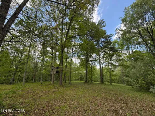 0 Scott Hwy, Helenwood, TN 37755