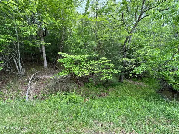 110 & 112 Forest Hill Drive, Crossville, TN 38558