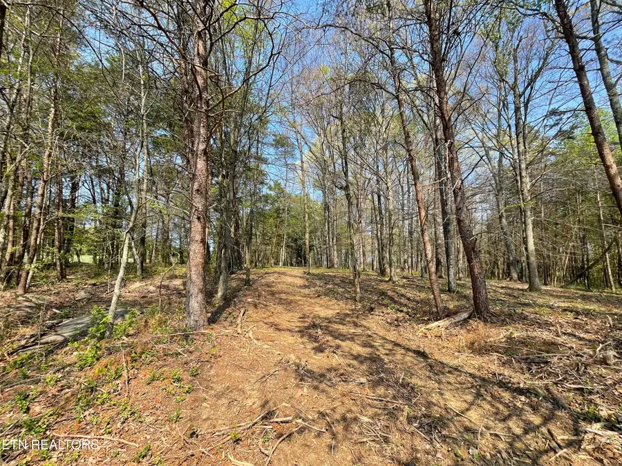 140 Padstow Lane, Lenoir City, TN 37772 - #3