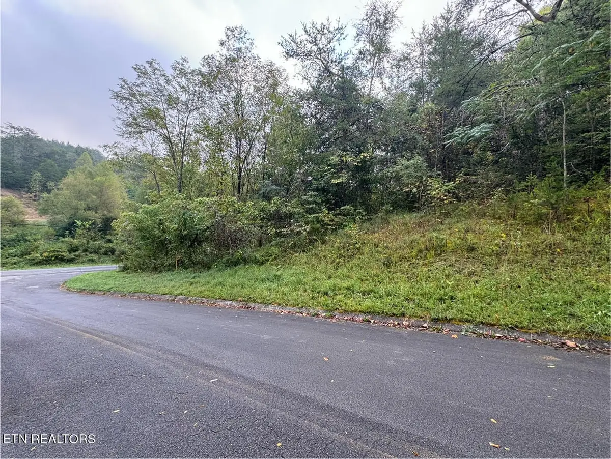 Pheasant Court, Sevierville, TN 37876 - #1