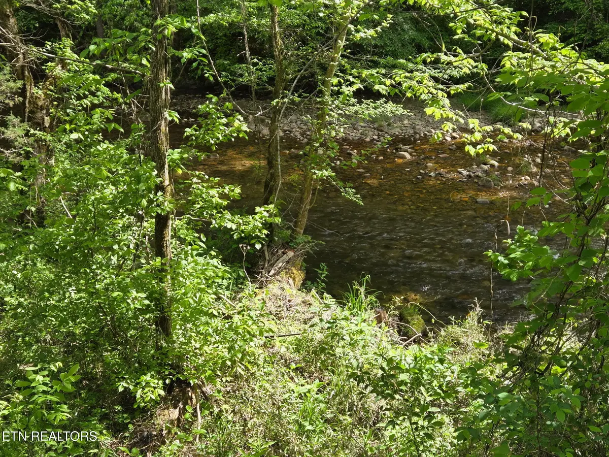 Old 15th Rd, Del Rio, TN 37727 - #1