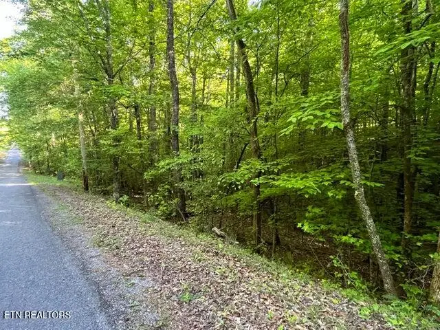 373-375 Beta Drive Drive, Spring City, TN 37381 - #2