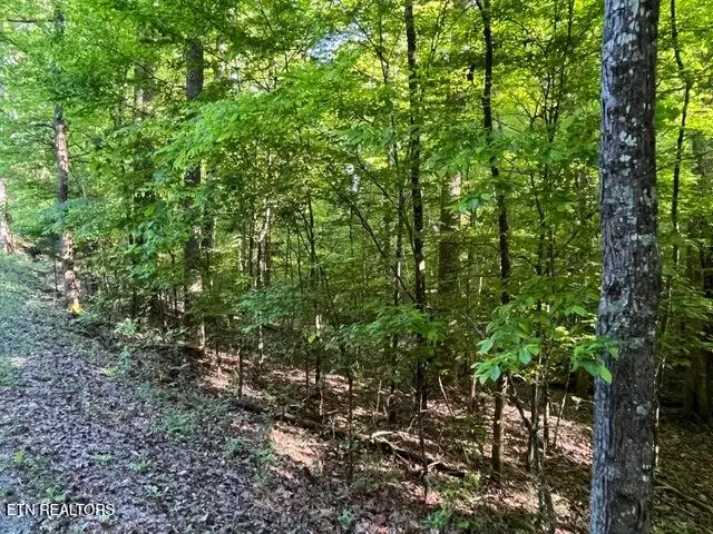 328-329 Omega Drive Drive, Spring City, TN 37381 - #1