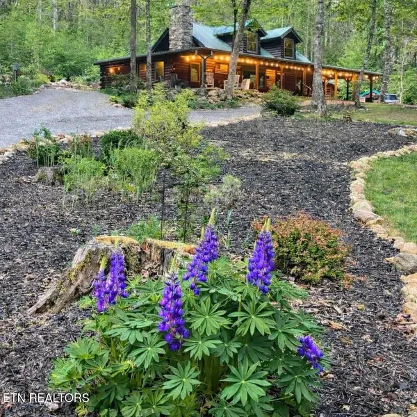 480 Holder Cemetery Rd, Tellico Plains, TN 37385