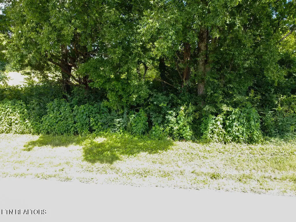 156 County Road 436, Athens, TN 37303 - #1