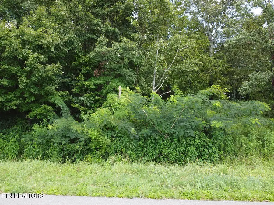 00 County Road 436, Athens, TN 37303 - #3