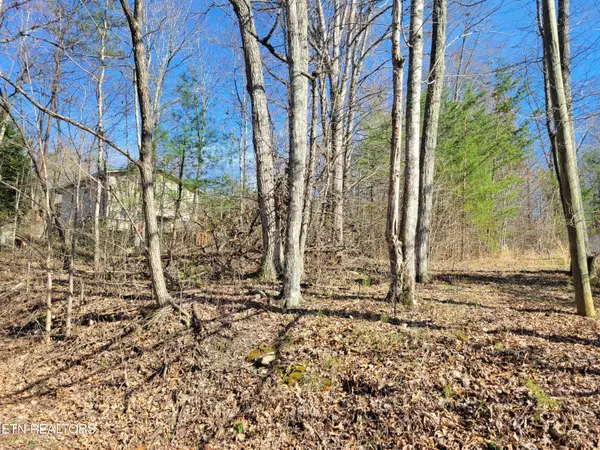Lot 69 Alpine Drive, Sevierville, TN 37876