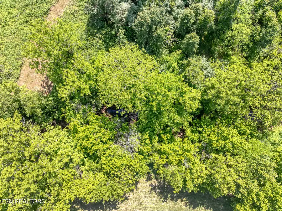Boyds Creek Hwy, Sevierville, TN 37876 - #2