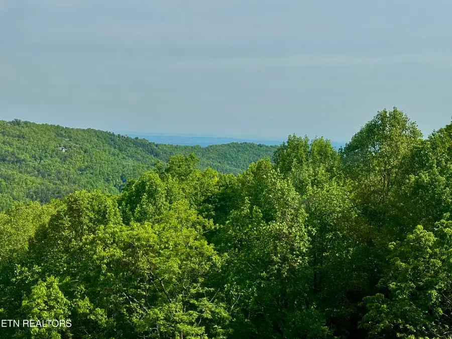 1102 Ski View Drive #UNIT 306, Gatlinburg, TN 37738 - #3