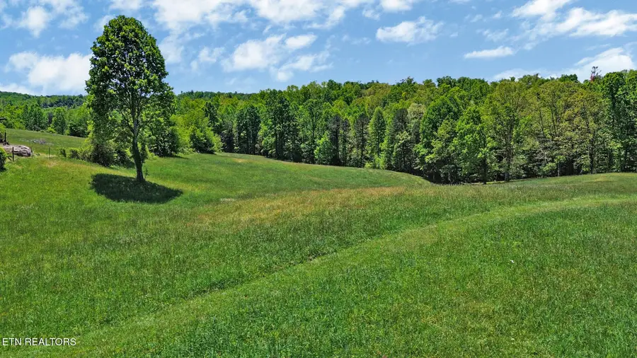Panther Branch Rd, Jamestown, TN 38556 - #2