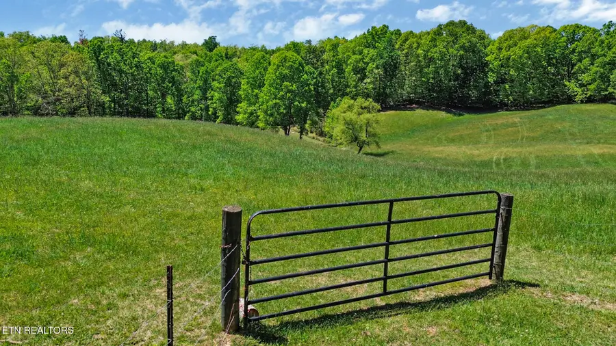 Panther Branch Rd, Jamestown, TN 38556 - #3