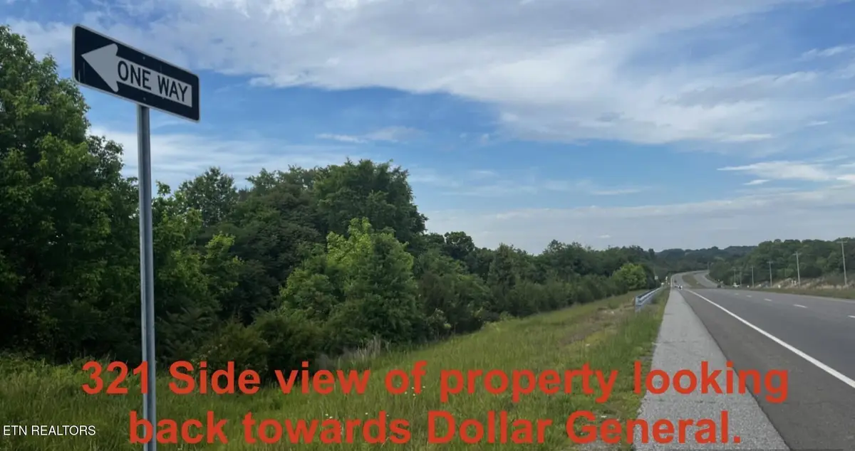 Bluejay St, Parrottsville, TN 37843 - #1