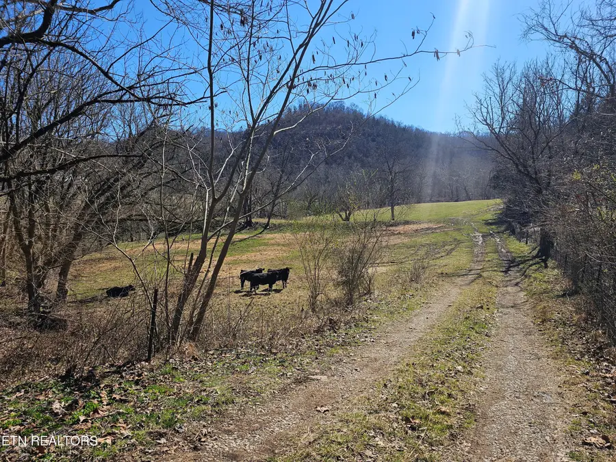 Route 70, Jonesville, VA 24263 - #2