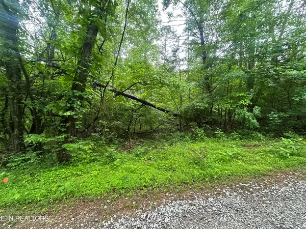 Lot 105-108 Settlers Rd, Harriman, TN 37748
