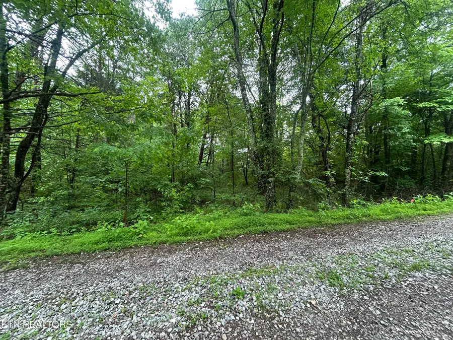 Lot 105-108 Settlers Rd, Harriman, TN 37748 - #3