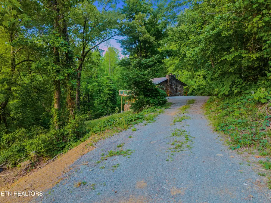 341 Lewis Clabo Rd, Gatlinburg, TN 37738 - #3