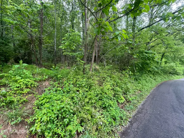 TBD Valley Creek Rd, Dryden, VA 24243