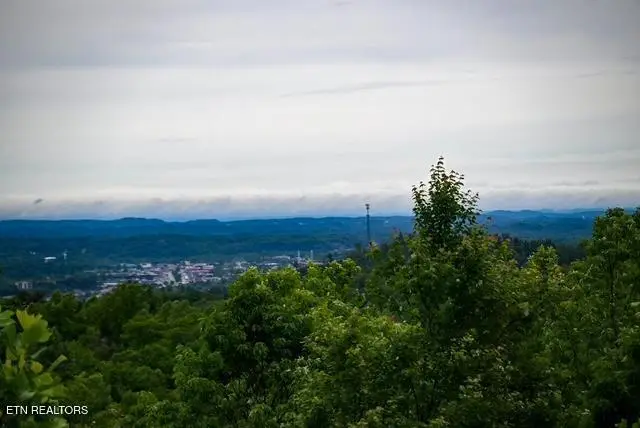 1816 N Dogwood Lane, Sevierville, TN 37876 - #2